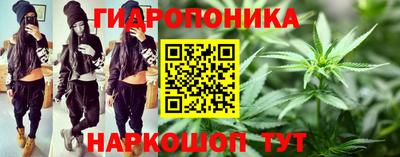 хмурый Канаш