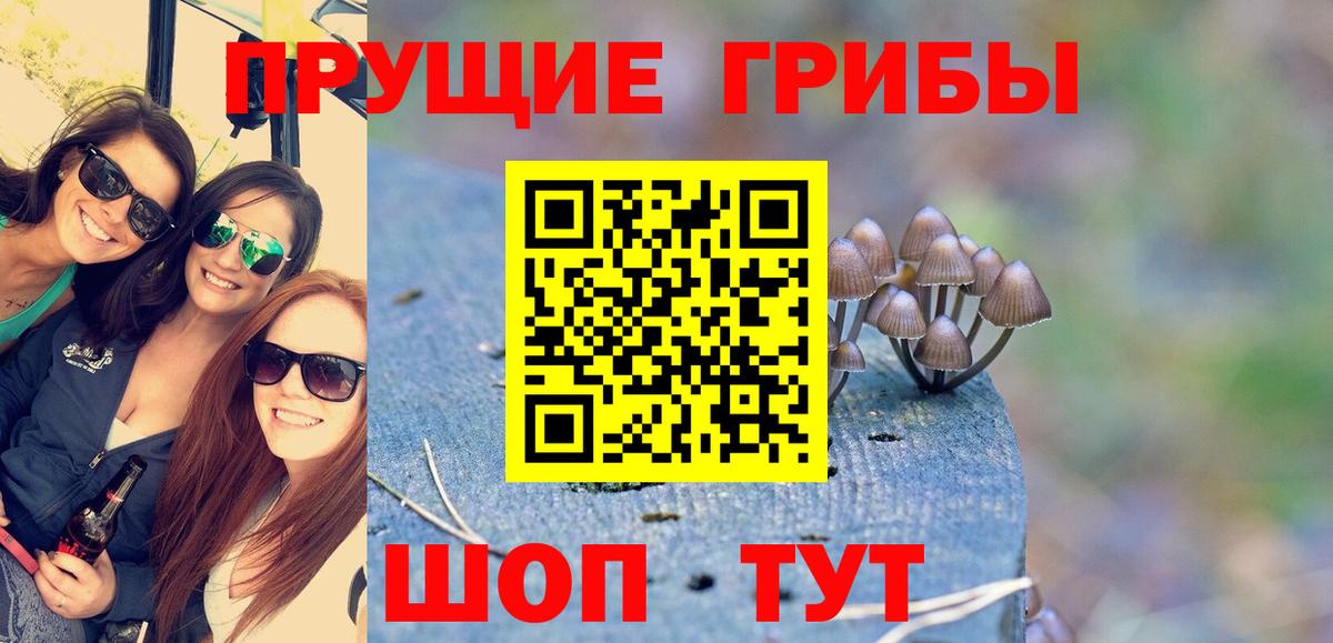 Магадан  Галлюциногенные грибы Magic Shrooms  Вход с VPN 