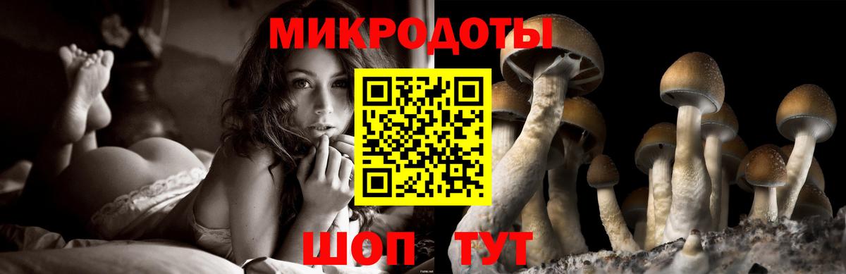 Галлюциногенные грибы ЛСД Магадан
